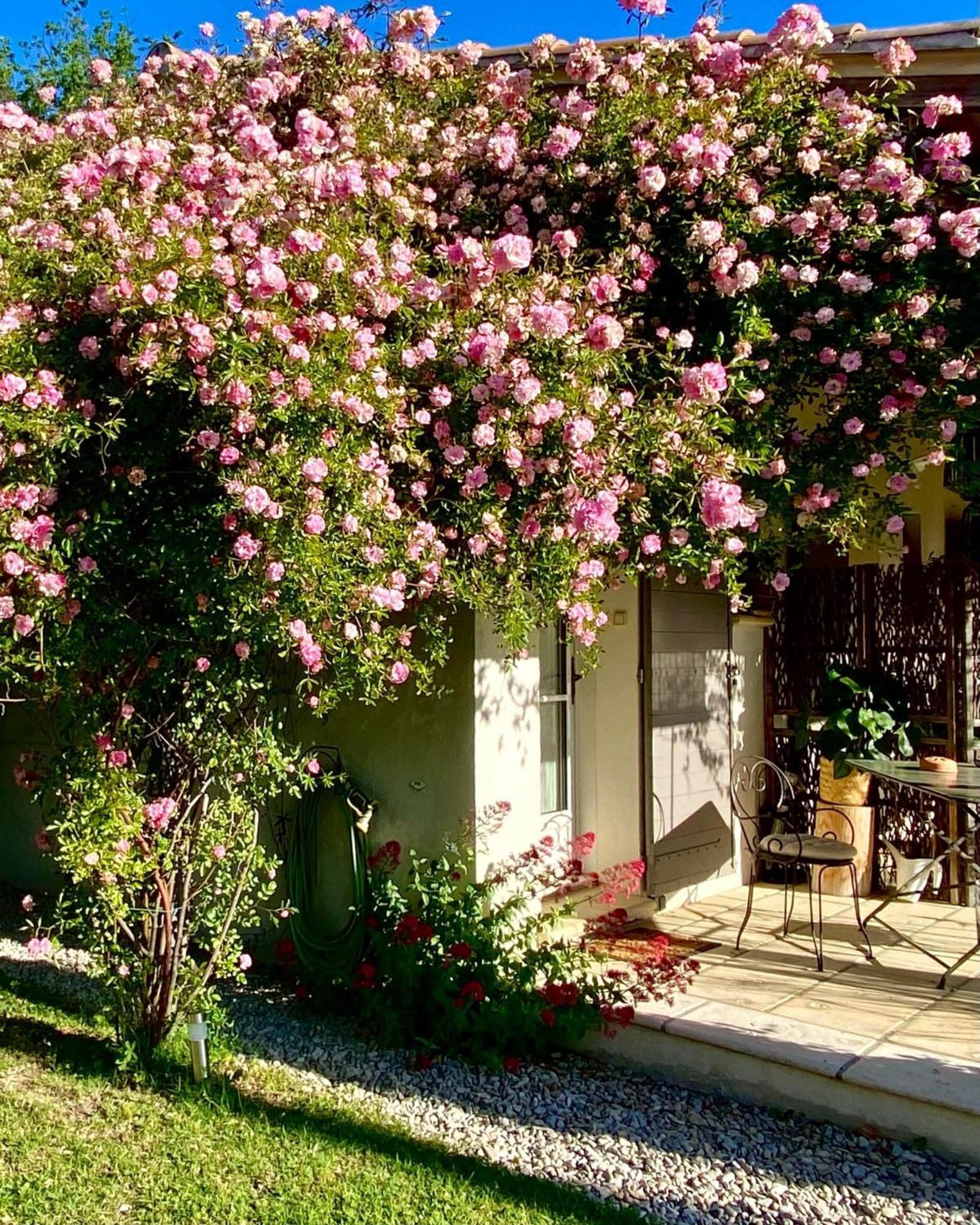 Le Jardin De Lau * Aubignan
