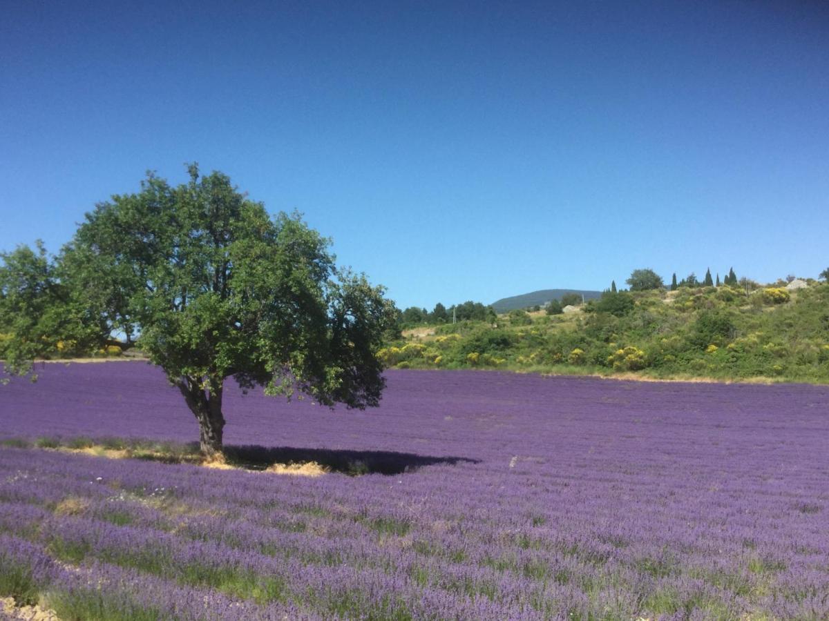 Le Jardin De Lau Holiday home